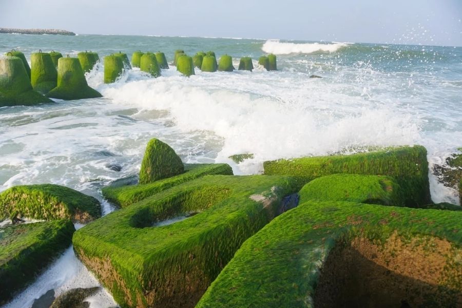 Nguồn gốc của bờ kè chắn sóng xóm Rớ