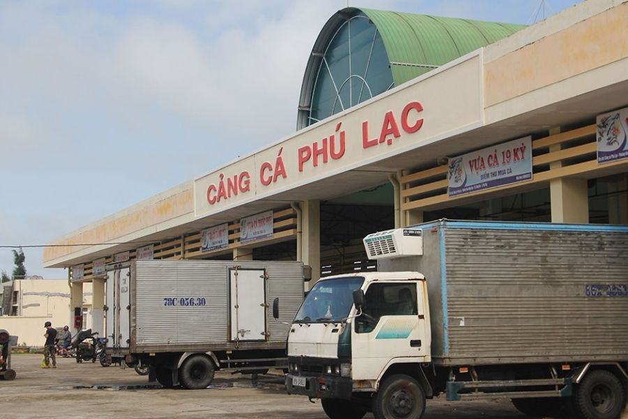 Khám phá vẻ đẹp chân chất tại cảng cá Phú Lạc Phú Yên