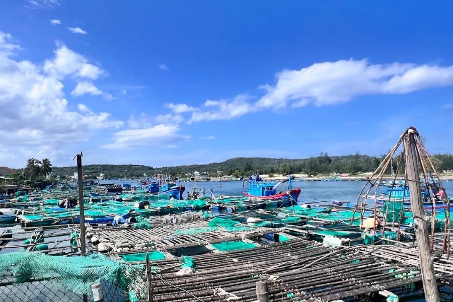 Tìm hiểu về cảng cá Phú Lương Phú Yên