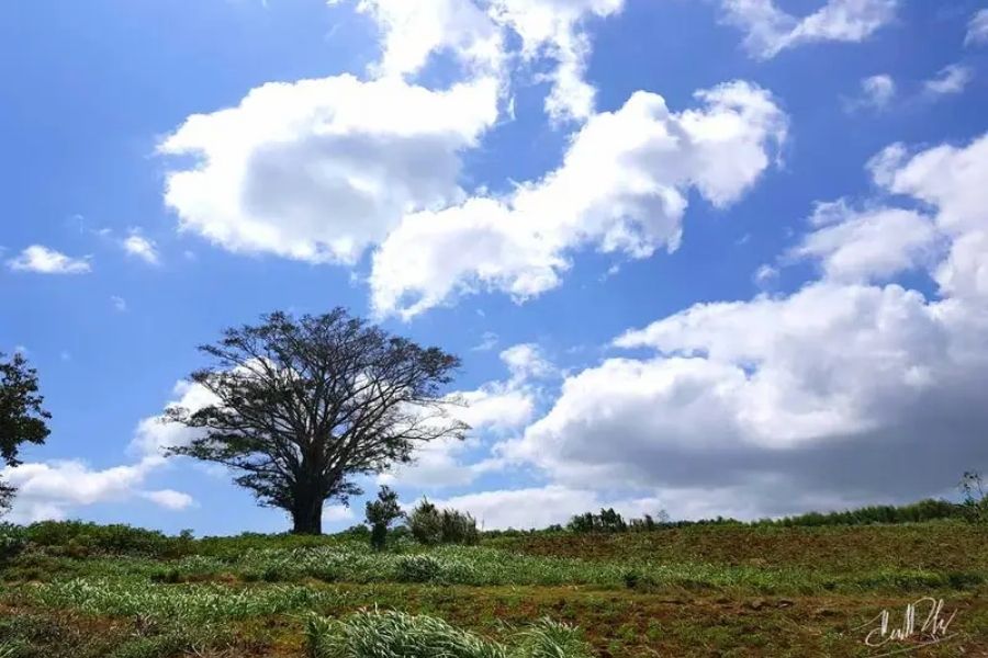 Vẻ đẹp của cao nguyên Vân Hòa