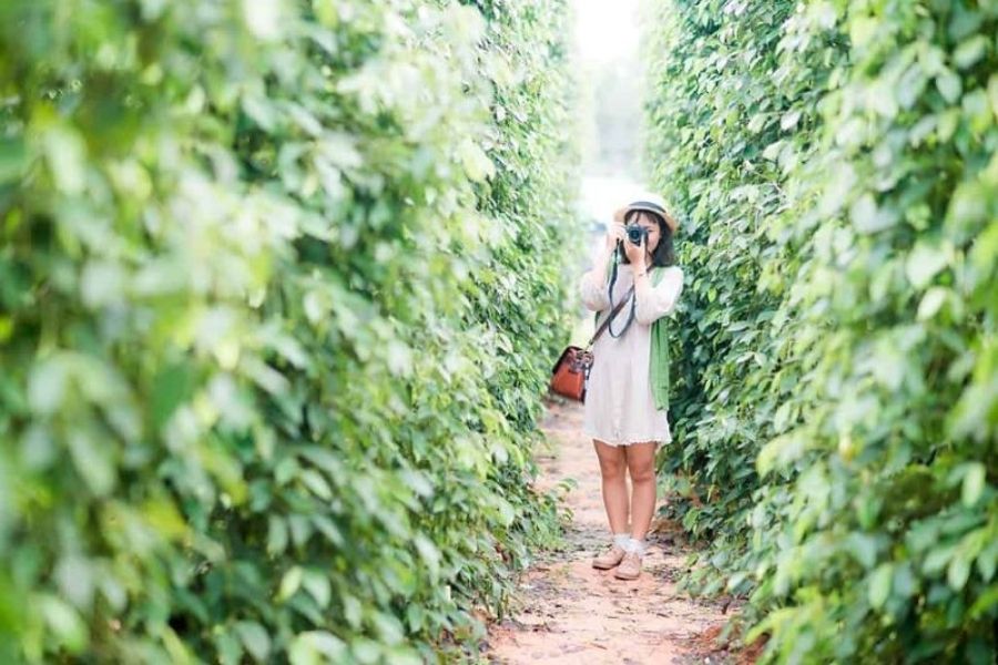 Vẻ đẹp của cao nguyên Vân Hòa