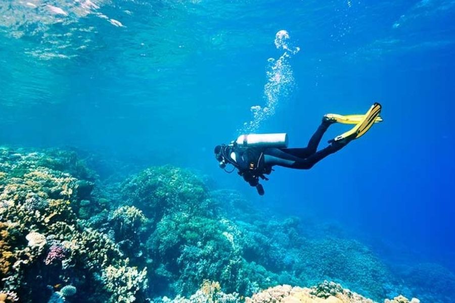 Vui chơi tại Cù lao Mái Nhà