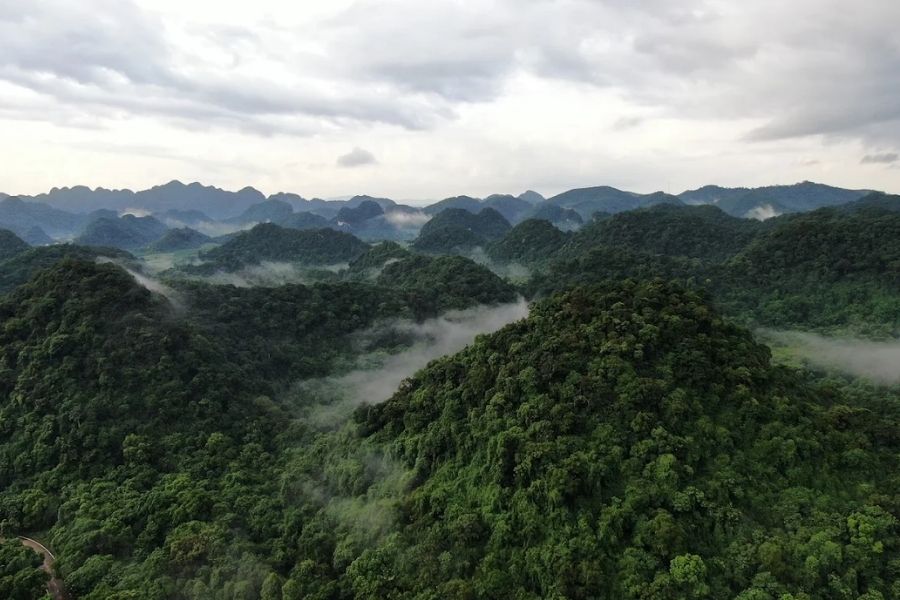 Rừng Quốc gia Cúc Phương