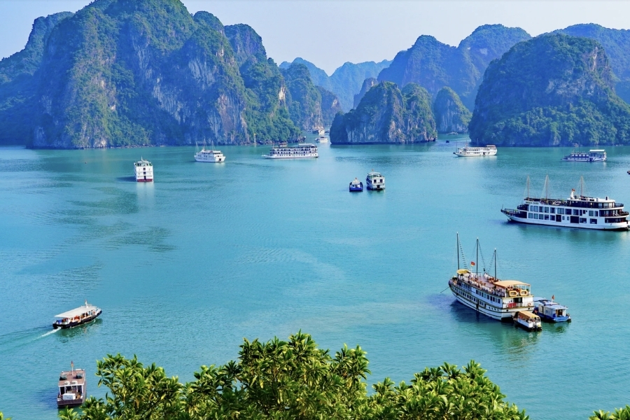 Du lịch đầu năm ở đảo Cát Bà - Hải Phòng