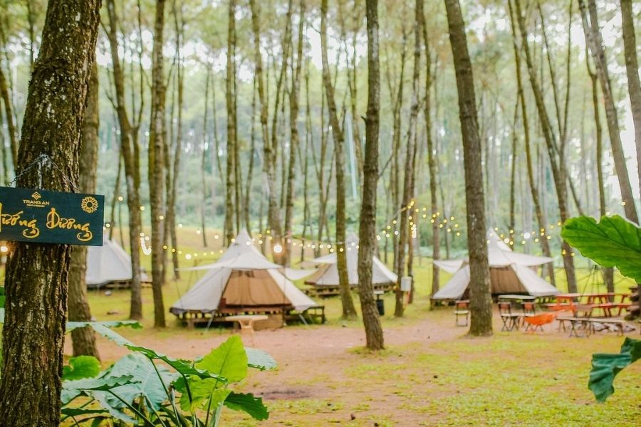 Đồi thông Hồ Đồng Chương