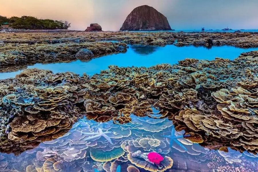 Thời điểm lý tưởng để đi Hòn Yến