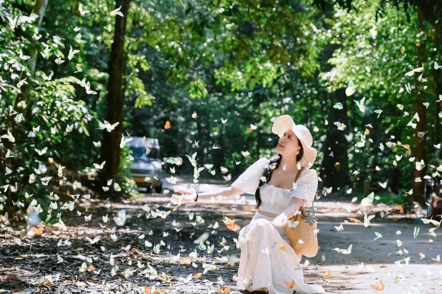 Mùa bướm ở rừng Cúc Phương