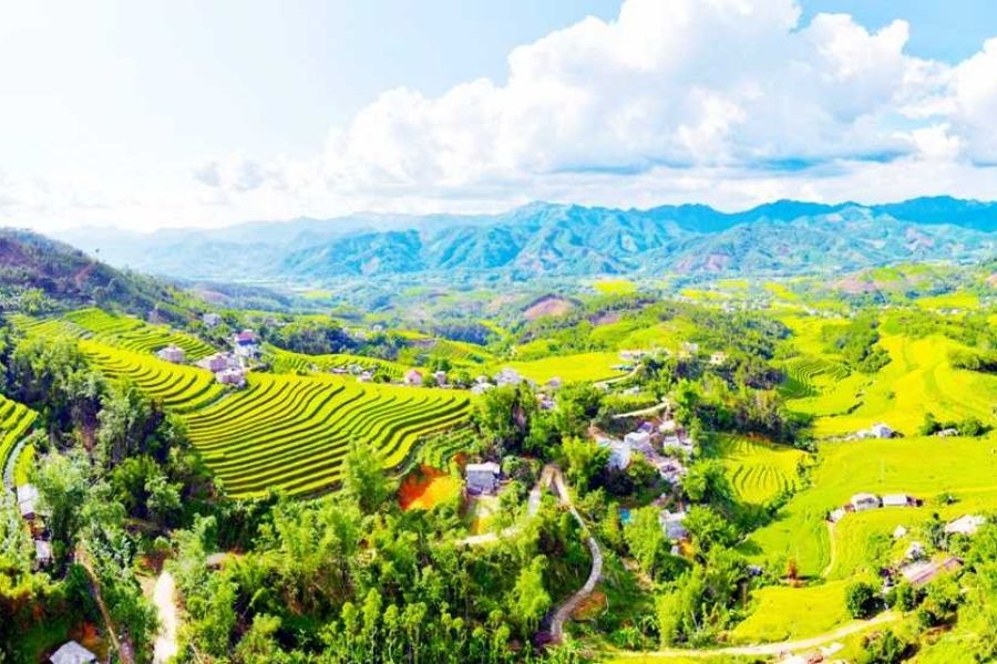 Ruộng bậc thang Cao Thắng Bình Liêu