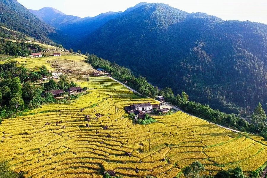 Ruộng bậc thang Cao Thắng Bình Liêu