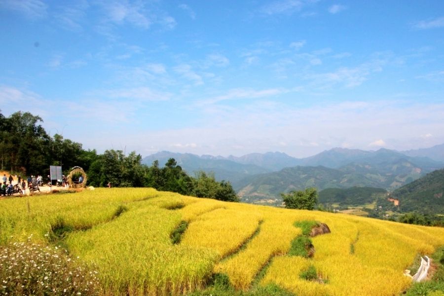 Ruộng bậc thang Cao Thắng Bình Liêu
