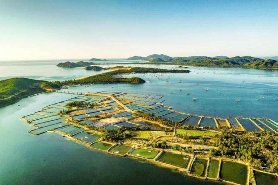 Đầm Ô Loan Phú Yên