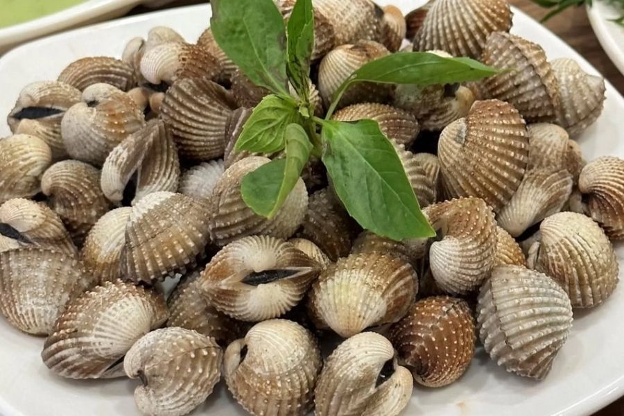 Đặc sản sò huyết đầm Ô Loan Phú Yên 