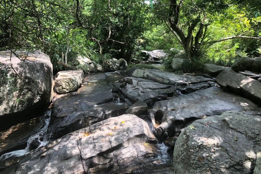 Vẻ đẹp của Suối Mơ Đa Lộc