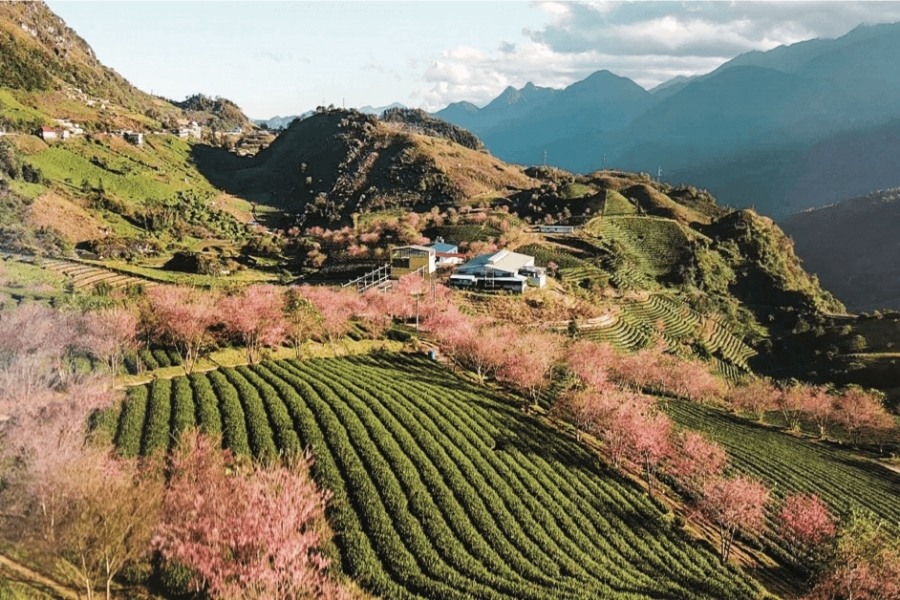 Ngược lên phía Bắc tận hưởng không khí trong lành ở Sapa