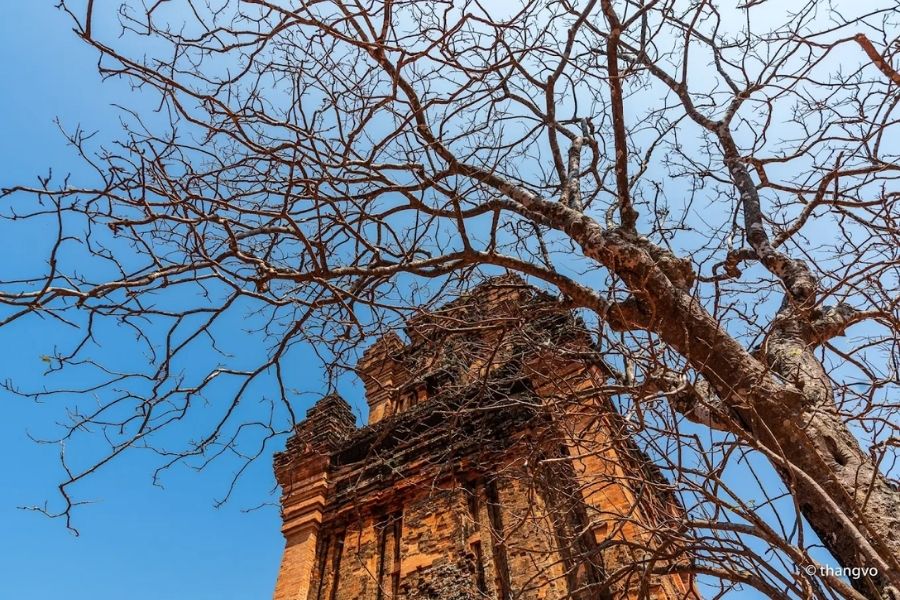 Tháp Nhạn Phú Yên