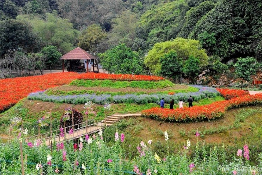 Thung lũng hoa Thung Nham