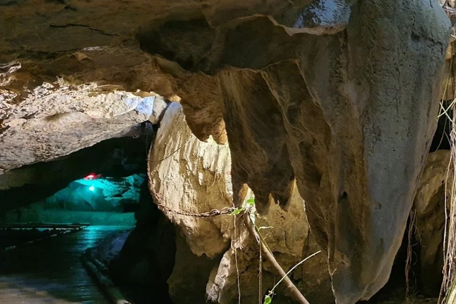 Động Tiên Cá - Thung Nham