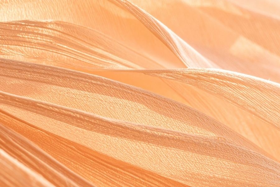 Các mẫu vải Voan phổ biến hiện nay