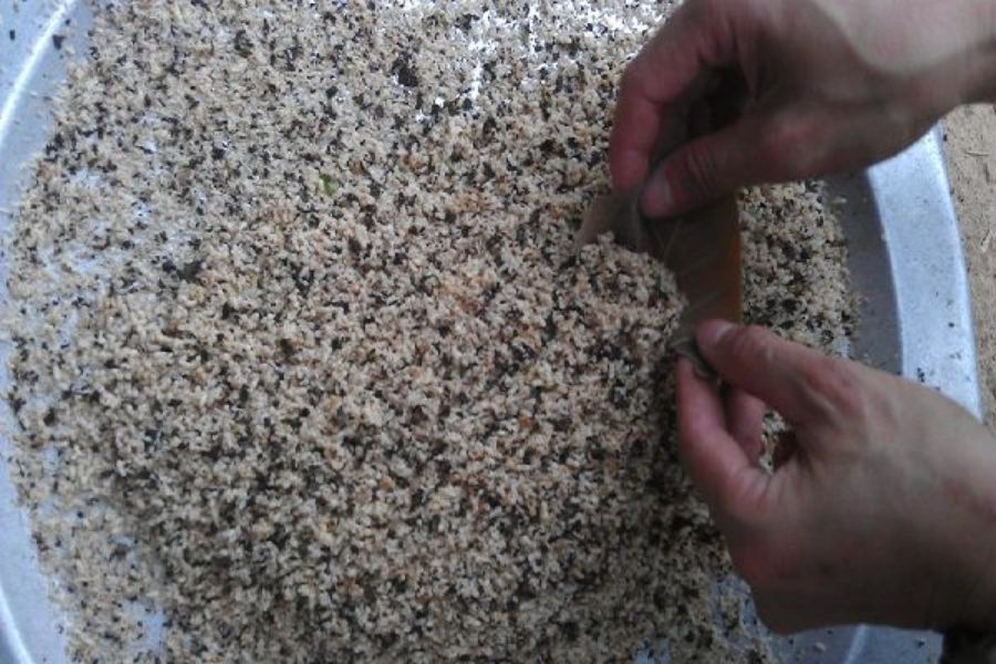 Trứng kiến nâu được lấy về và loại bỏ tạp chất