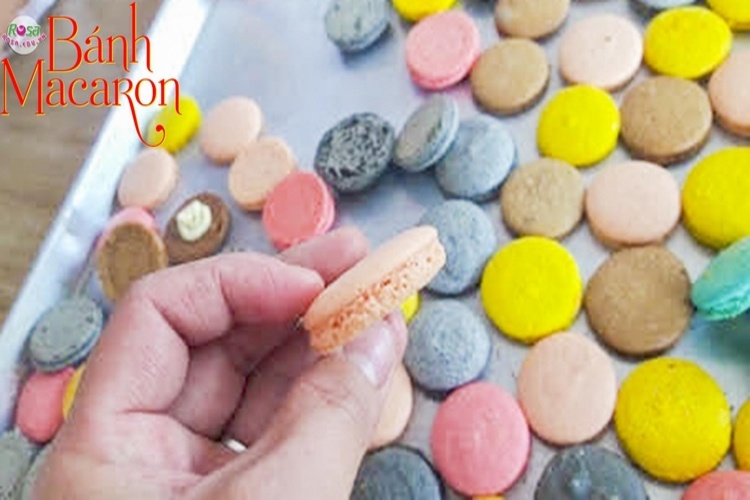 Chuyên đề học làm bánh MACARON - Nàng tiểu thư kiêu kỳ của nước Pháp