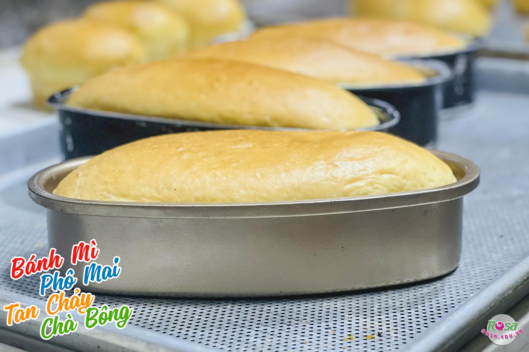 Chuyên đề học làm BÁNH MÌ PHÔ MAI TRỨNG MUỐI TAN CHẢY, CHÀ BÔNG - Công thức chuẩn kinh doanh PVN1281