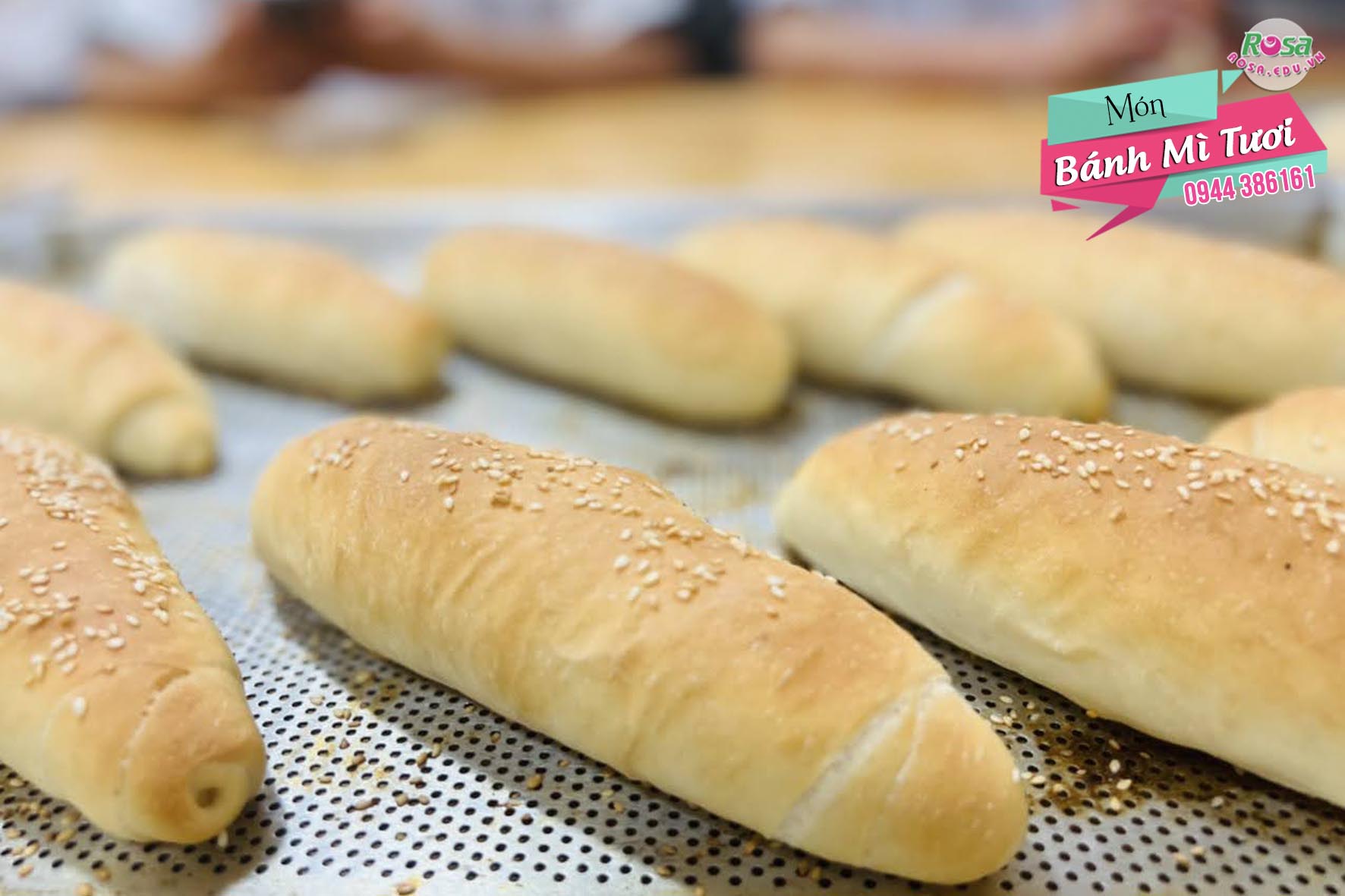 Kỹ Thuật Bánh Mì Âu Á Hiện Đại (8 Buổi - 32 Giờ)