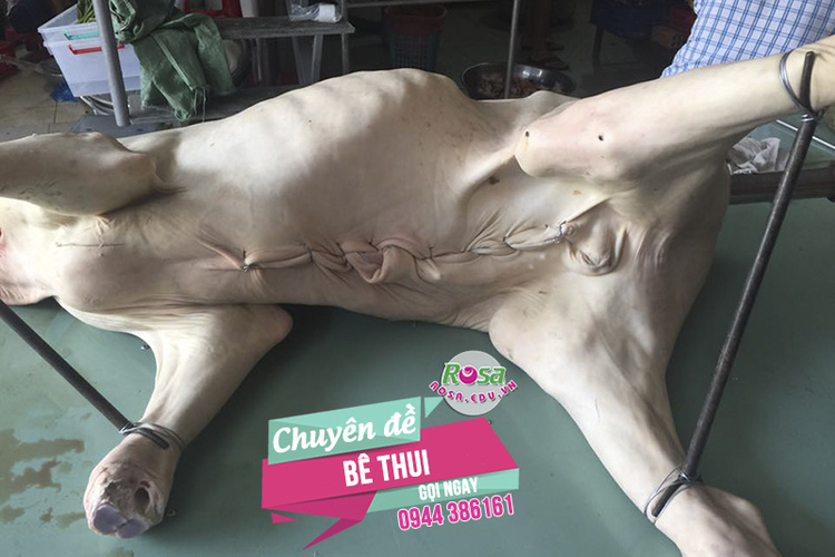 Chuyên đề học các món ăn từ thịt BÒ, BÊ (BÊ THUI, DÊ THUI) - Mở quán kinh doanh - Learn How To Cook Beef Dishes (牛肉菜)