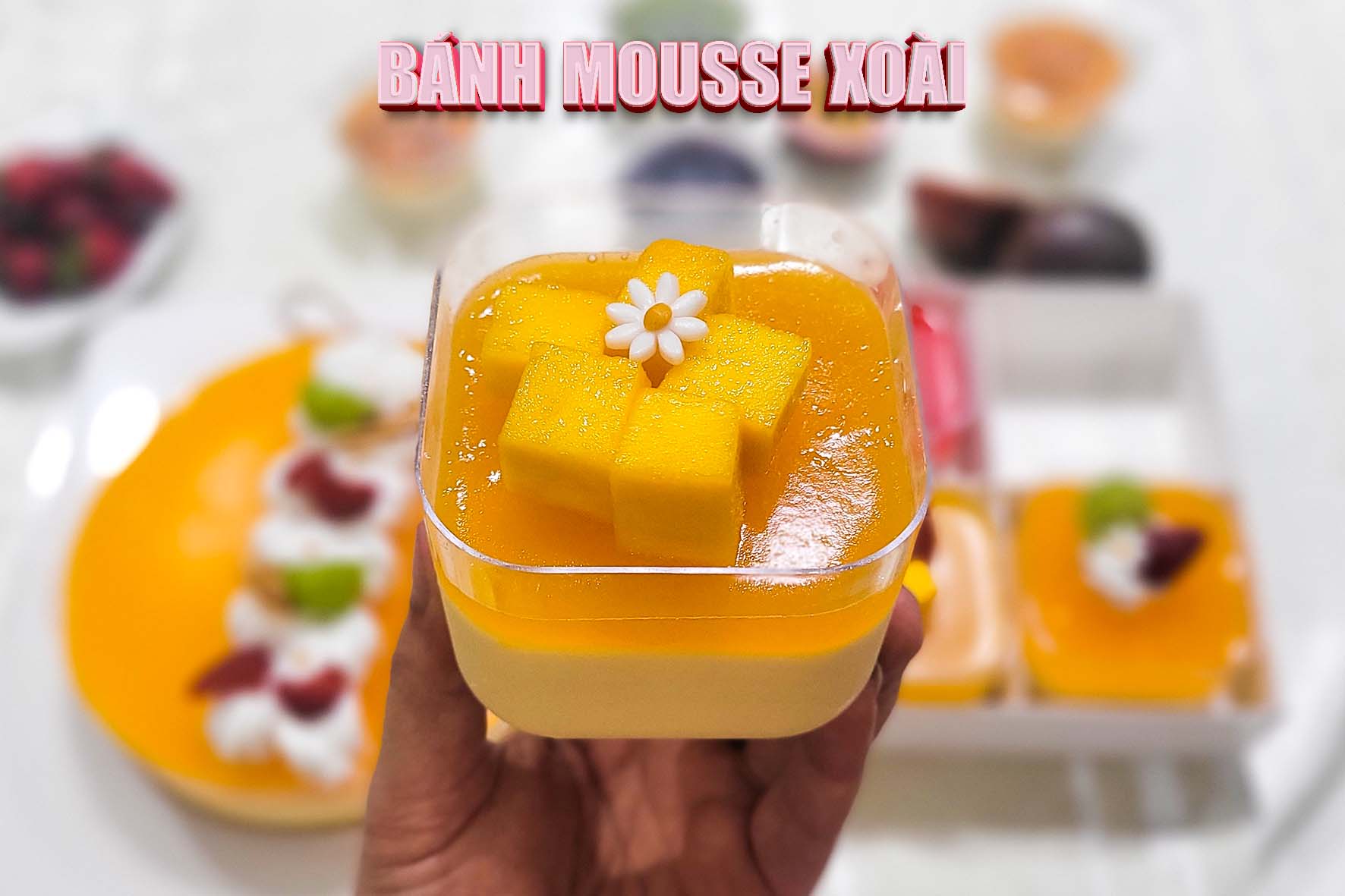 Workshop Học Làm Bánh Mousse Chanh Dây - Dâu - Xoài PVN746