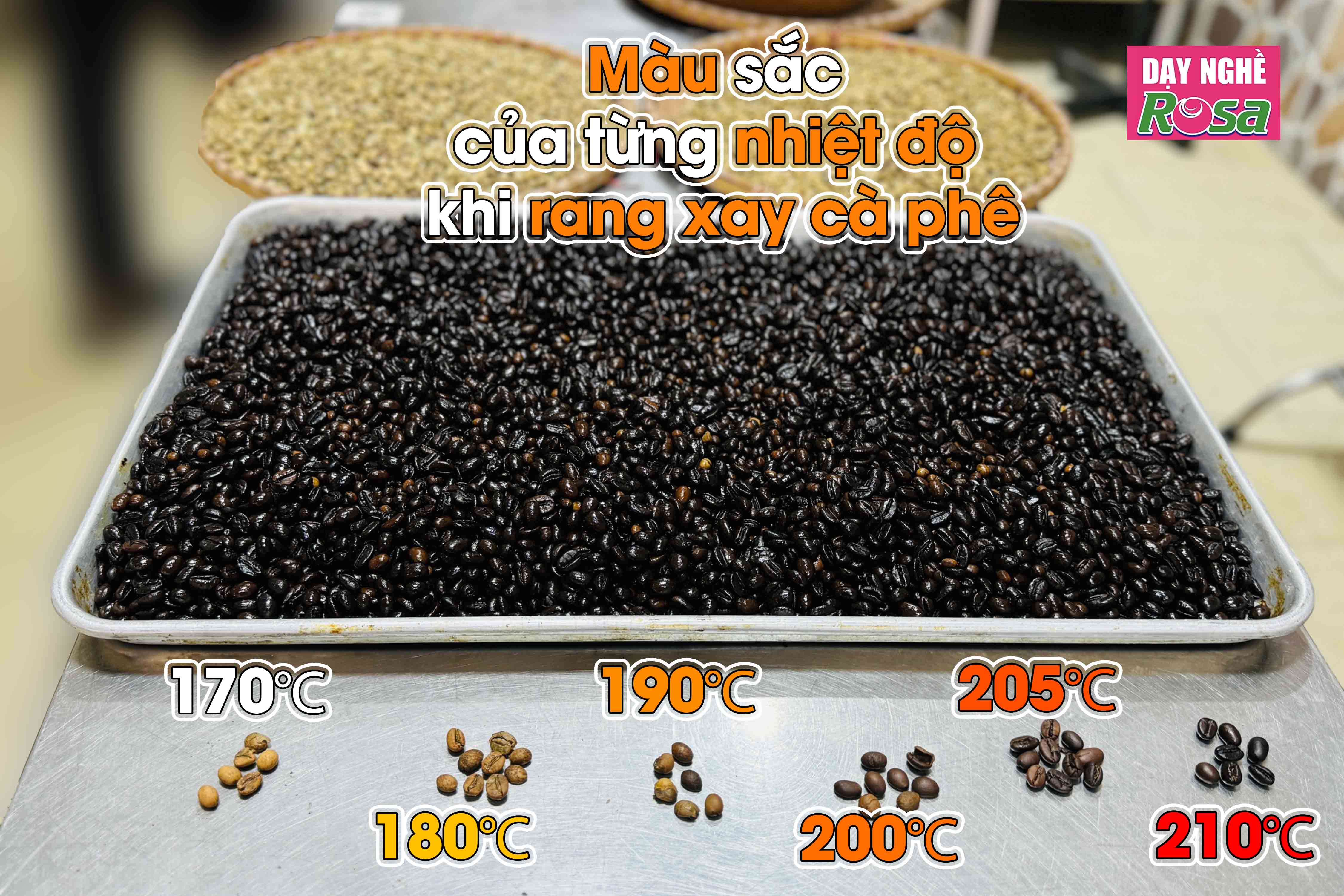 Công Thức Học Làm Rang xay Cà Phê Đậm Đà Hương Vị Việt Nam Mở Quán Kinh Doanh PVN720