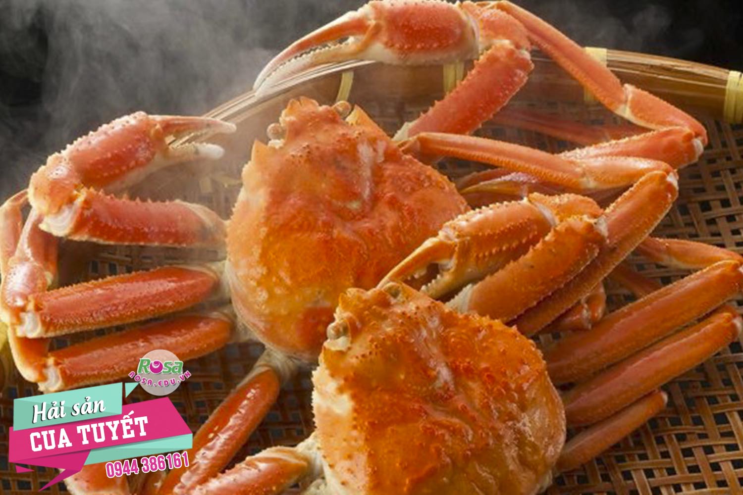 Chuyên đề học làm các món từ CUA (Cua Biển, Cua Đồng, Cua Tuyết, Cua Hoàng Đế...)