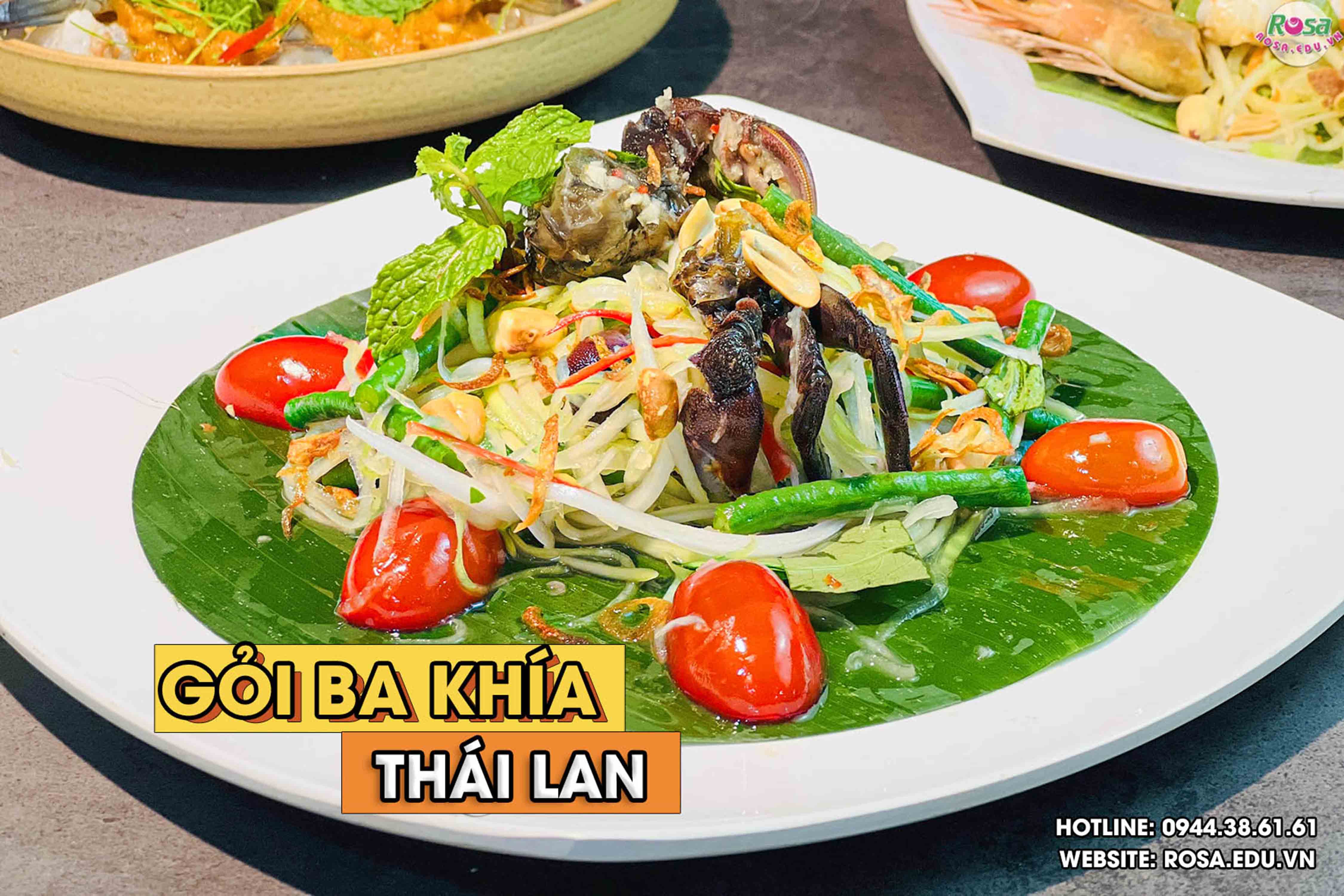 Công thức Học cách làm CÁC MÓN GỎI - Món khai vị hàng đầu trong các bữa tiệc