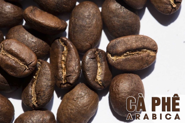 Công Thức Học Làm Rang xay Cà Phê Đậm Đà Hương Vị Việt Nam Mở Quán Kinh Doanh PVN720