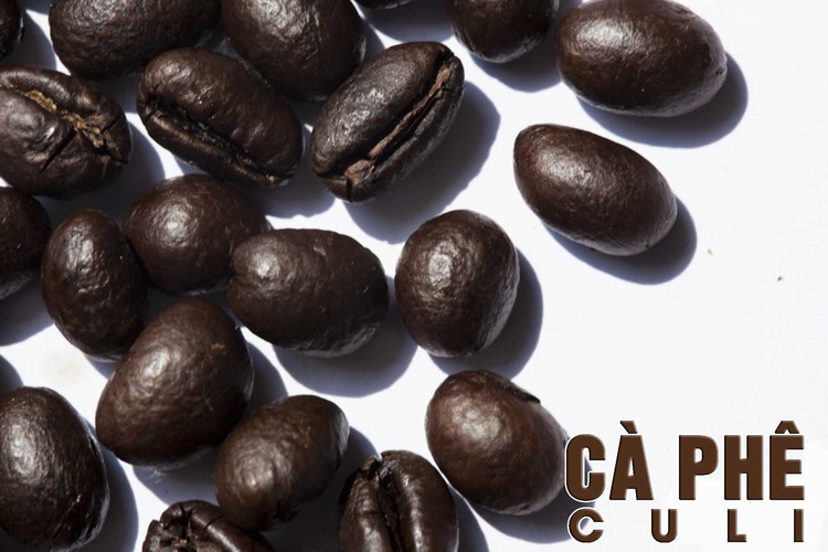 Công Thức Học Làm Rang xay Cà Phê Đậm Đà Hương Vị Việt Nam Mở Quán Kinh Doanh PVN720