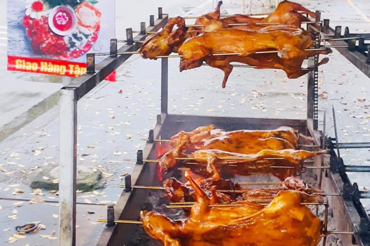 Chuyên Đề Bí Quyết Chế Biến Món Thỏ – Bước Đệm Mở Quán Nhậu Chuyên Thỏ Thành Công!