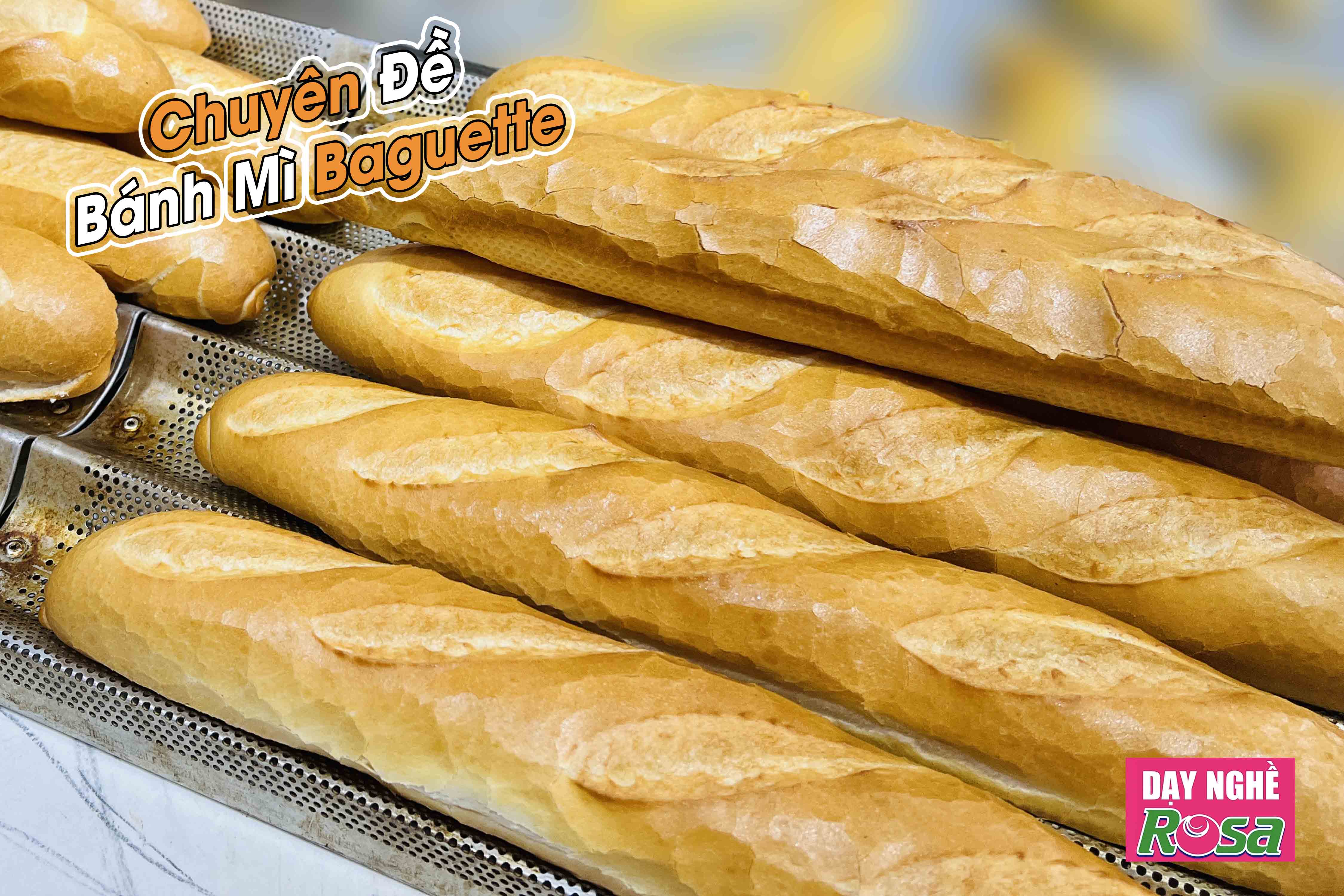 Chuyên Đề Học Làm Bánh Mì Baguette - Chia Sẻ Bí Quyết Kinh Doanh Lò Bánh Mì PVN618