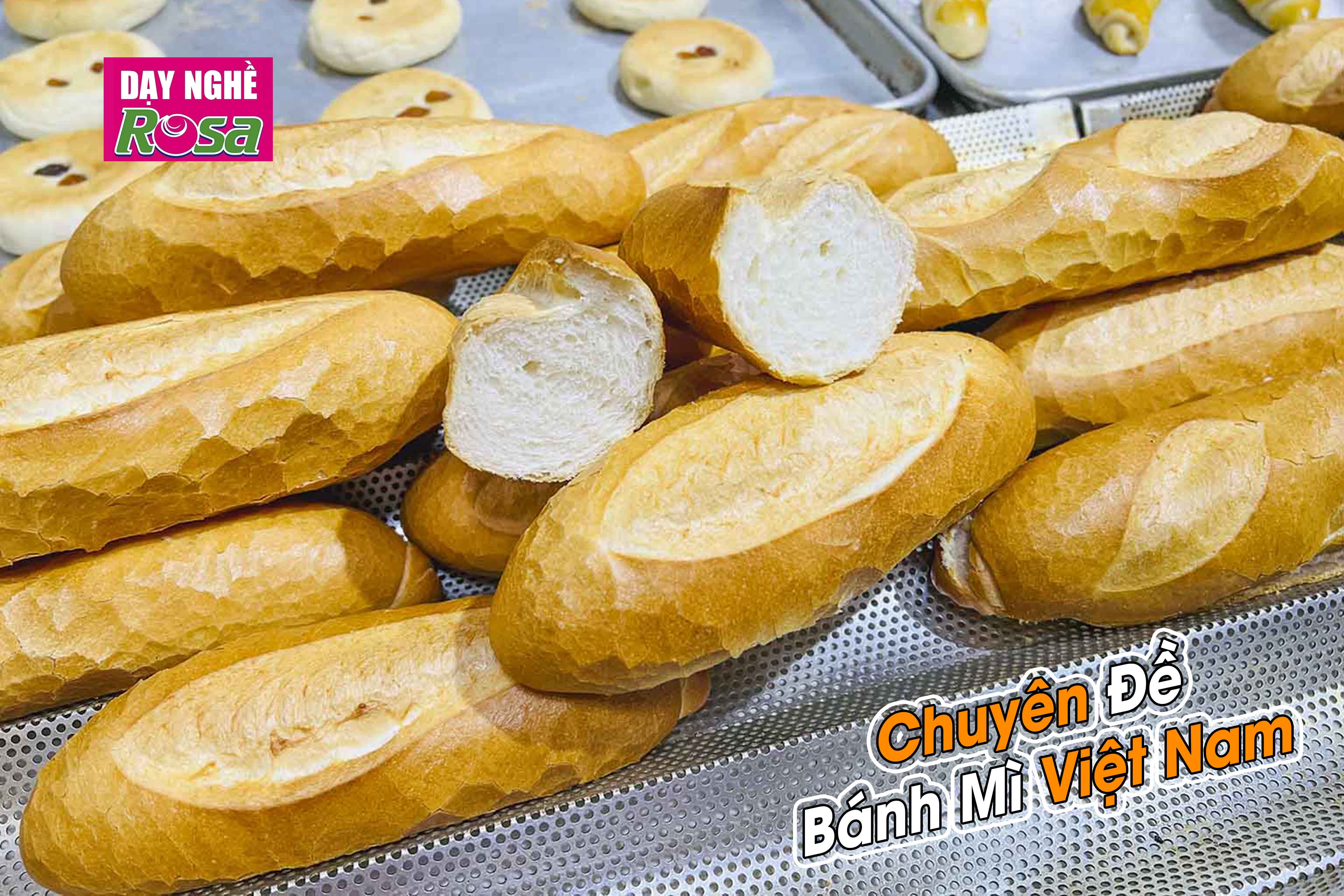 Video Online Học Làm Bánh Mì Việt Nam - Chia Sẻ Bí Quyết Kinh Doanh Lò Bánh Mì PVN616