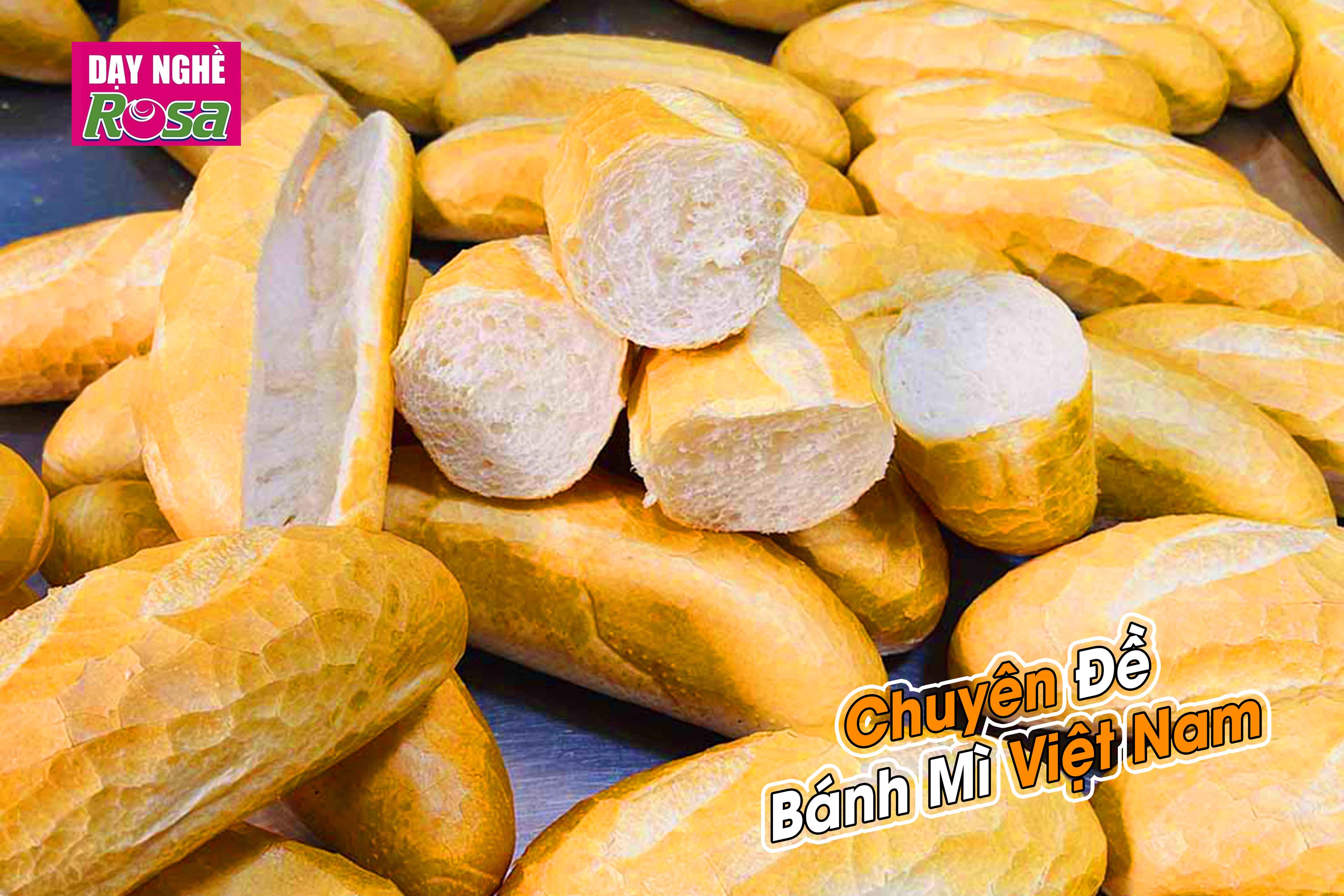 Công Thức Học Làm Bánh Mì Việt Nam - Chia Sẻ Bí Quyết Kinh Doanh Lò Bánh Mì PVN617