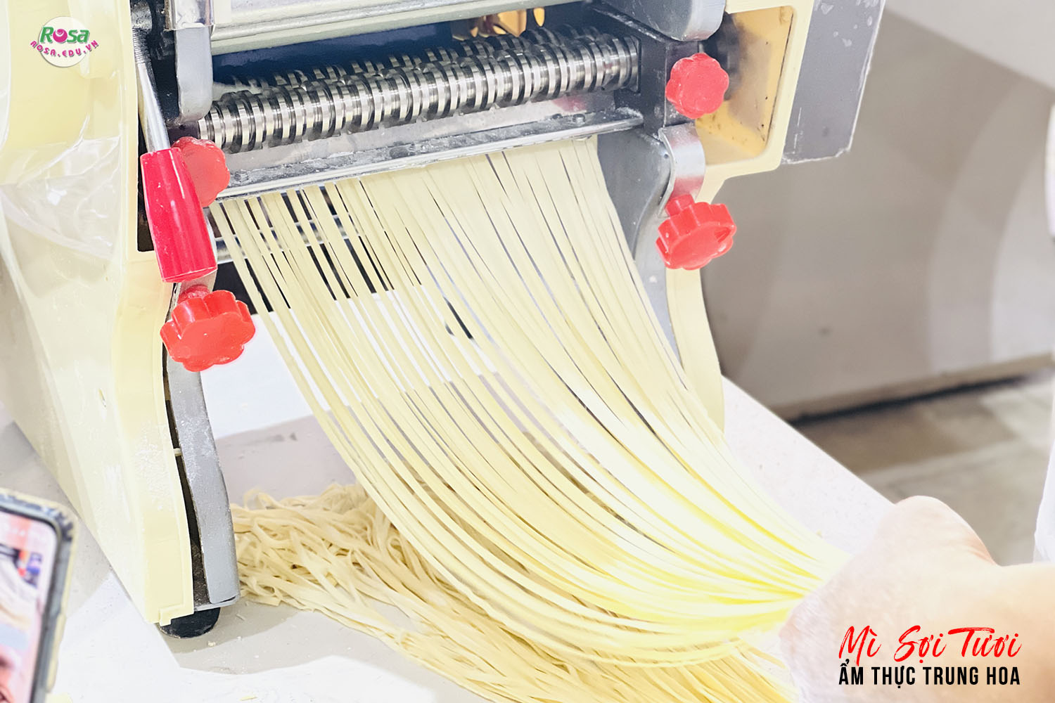 Chuyên Đề Học Làm Mì Tươi, Mì Sợi Máy Bí Quyết Trung Hoa Mở Quán Kinh Doanh PVN42