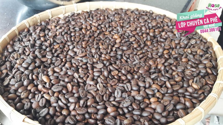 Công Thức Học Làm Rang xay Cà Phê Đậm Đà Hương Vị Việt Nam Mở Quán Kinh Doanh PVN720