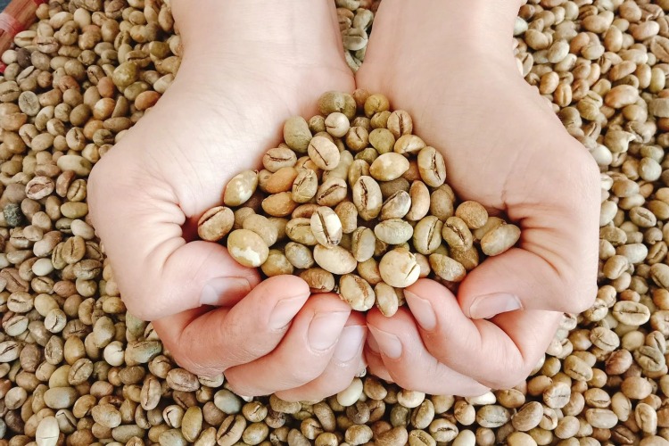 Dịch vụ Nhận Rang Cà Phê Gia Công Tại Biên Hòa, Đồng Nai Của Dạy Nghề Rosa Do Thầy Hoàng Hiển Đảm Nhiệm