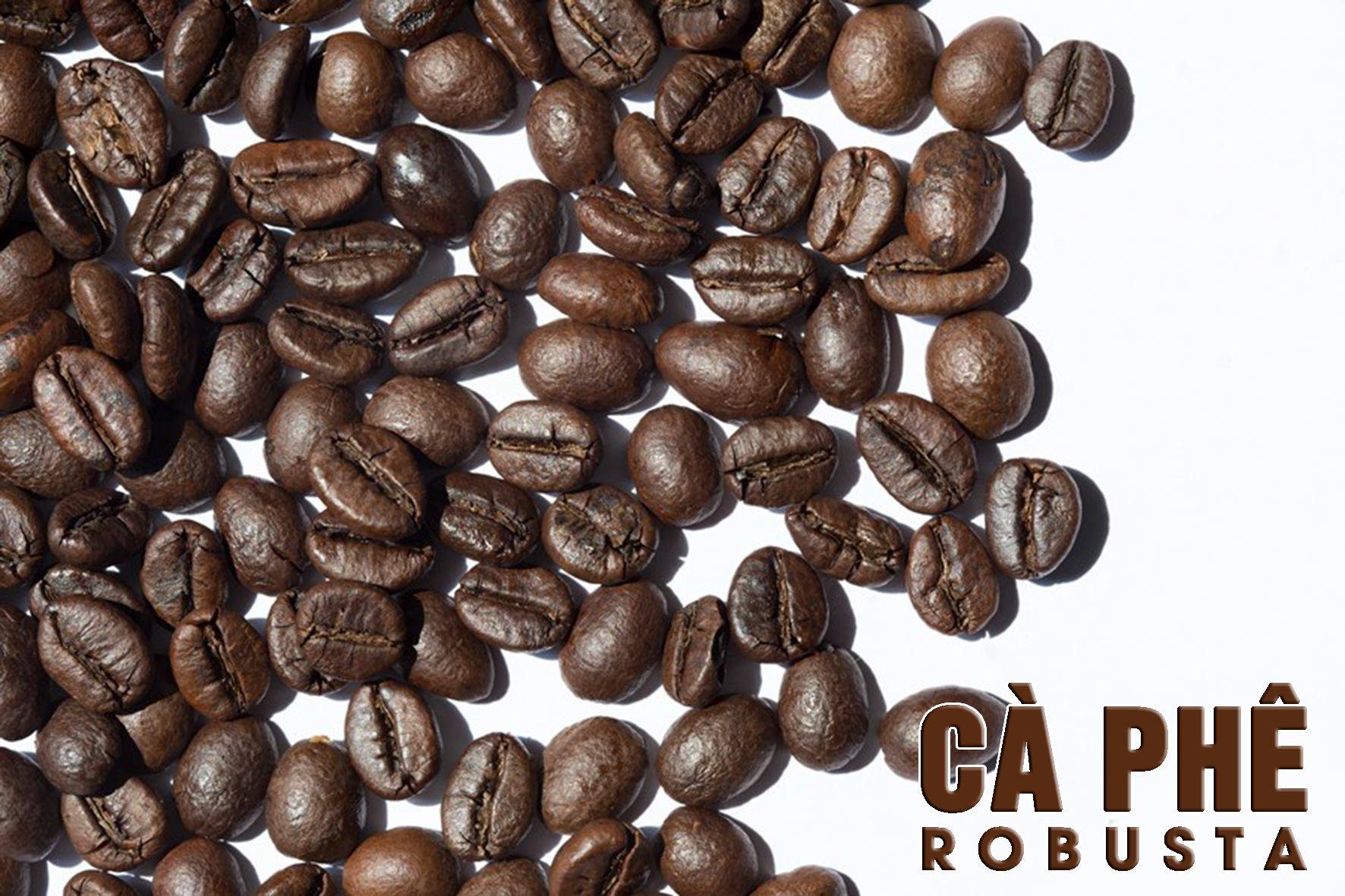 Dịch vụ Nhận Rang Cà Phê Gia Công Tại Biên Hòa, Đồng Nai Của Dạy Nghề Rosa Do Thầy Hoàng Hiển Đảm Nhiệm