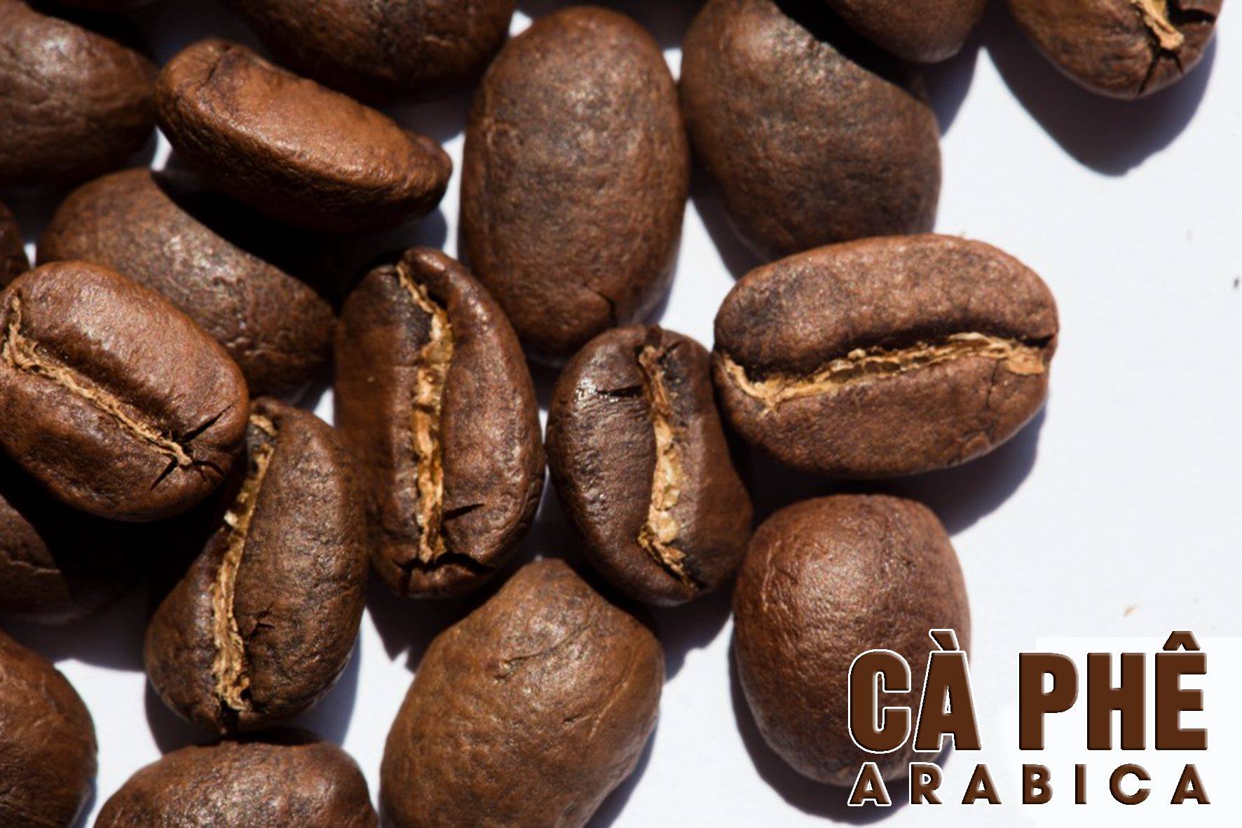 Dịch vụ Nhận Rang Cà Phê Gia Công Tại Biên Hòa, Đồng Nai Của Dạy Nghề Rosa Do Thầy Hoàng Hiển Đảm Nhiệm