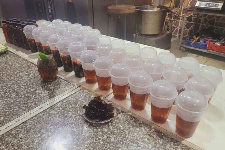 Workshop Học Làm Nước Sâm (Sâm Bí Đao, Sâm Rong Biển). Nước Mát Lá Dứa, Rễ Tranh, Mã Đề PVN1347