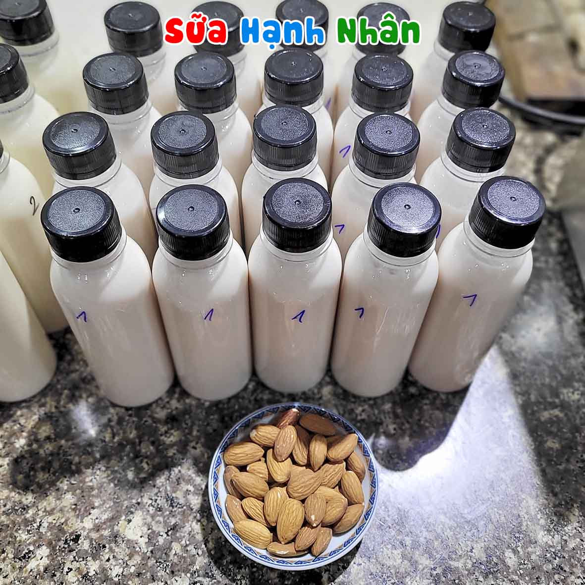 Chuyên Đề Học Nấu Các Loại Sữa Từ Hạt (Đậu Nành, Đậu Phộng, Bắp, Ngũ Cốc, Macca, Óc Chó, Yến Mạch...)