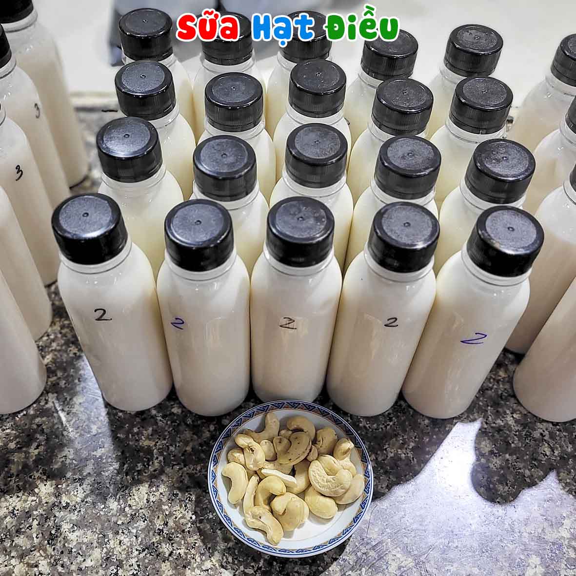 Chuyên Đề Học Nấu Các Loại Sữa Từ Hạt (Đậu Nành, Đậu Phộng, Bắp, Ngũ Cốc, Macca, Óc Chó, Yến Mạch...)