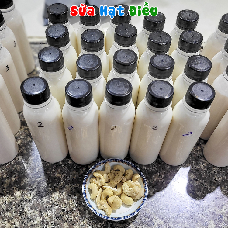 Workshop Học Làm Sữa Hạnh Nhân - Óc Chó - Mắc Ca, Sữa Hạnh Nhân – Hạt Điều, Sữa Óc Chó – Hạnh Nhân, Sữa Mắc Ca – Hạt Điều, Sữa Yến Mạch – Hạnh Nhân, Sữa Mè Đen – Hạnh Nhân, Sữa Hạt Sen – Mắc Ca PVN778