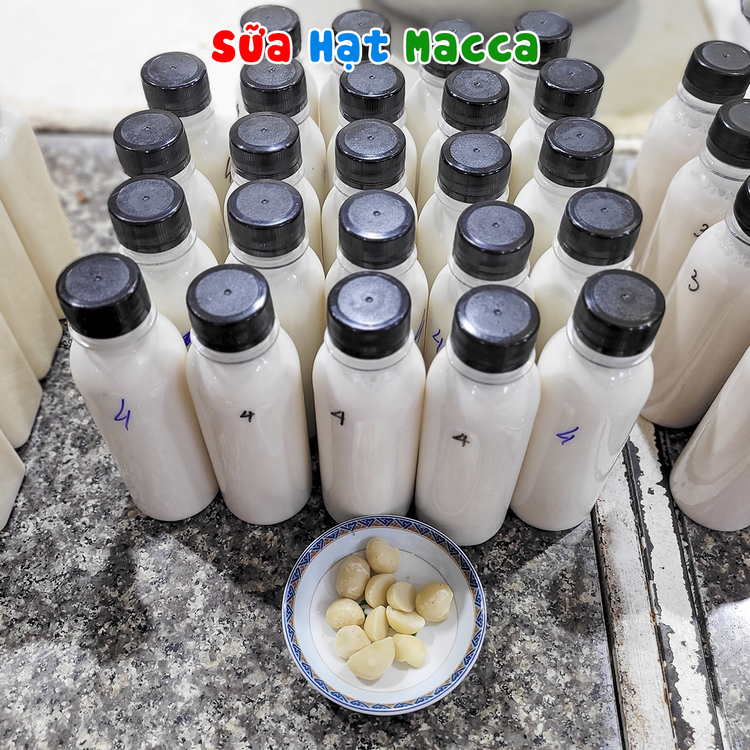 Workshop Học Làm Sữa Hạnh Nhân - Óc Chó - Mắc Ca, Sữa Hạnh Nhân – Hạt Điều, Sữa Óc Chó – Hạnh Nhân, Sữa Mắc Ca – Hạt Điều, Sữa Yến Mạch – Hạnh Nhân, Sữa Mè Đen – Hạnh Nhân, Sữa Hạt Sen – Mắc Ca PVN778
