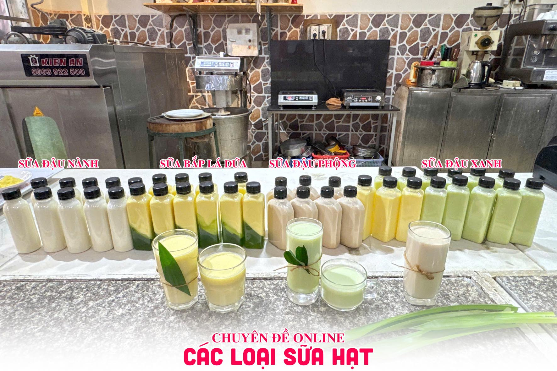 Chuyên đề học NẤU CÁC LOẠI SỮA HẠT (Sữa healthy) - Thích hợp kinh doanh và người ăn chay PVN1451