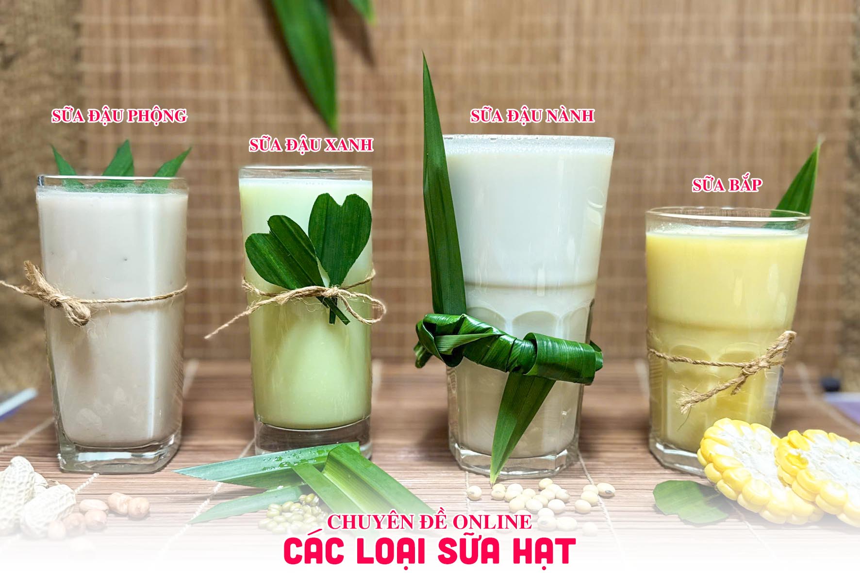 Chuyên đề học NẤU CÁC LOẠI SỮA HẠT (Sữa healthy) - Thích hợp kinh doanh và người ăn chay PVN1451