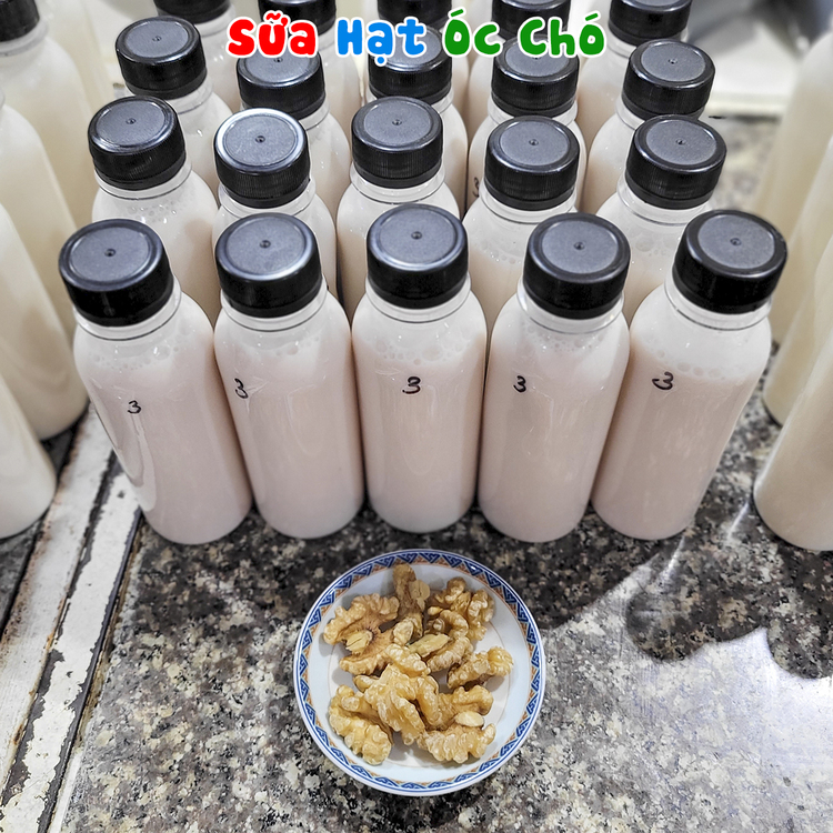 Workshop Học Làm Sữa Hạnh Nhân - Óc Chó - Mắc Ca, Sữa Hạnh Nhân – Hạt Điều, Sữa Óc Chó – Hạnh Nhân, Sữa Mắc Ca – Hạt Điều, Sữa Yến Mạch – Hạnh Nhân, Sữa Mè Đen – Hạnh Nhân, Sữa Hạt Sen – Mắc Ca PVN778